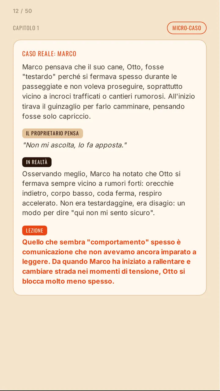 Micro-caso: Marco e Otto