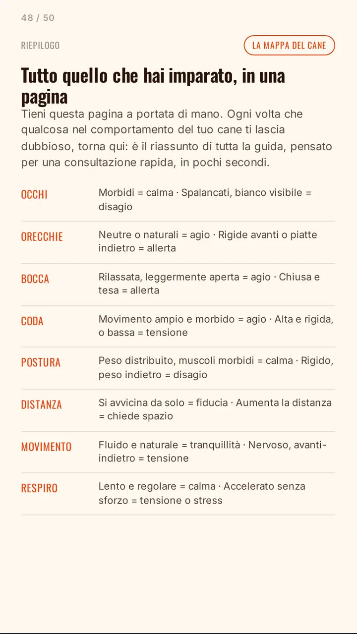 La mappa del cane in una pagina